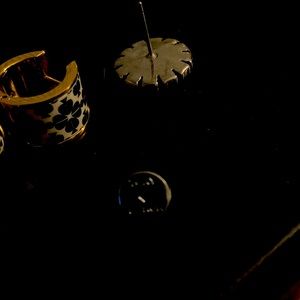 Designer earrings Alexis Bittar. Tori Burch Kate Spade all signed.